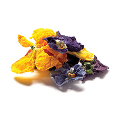 Dried Edible Pansy -  10g