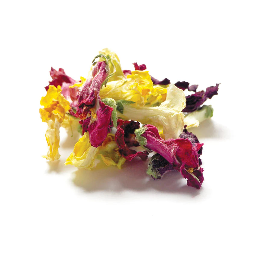 Dried Edible Snap Dragon Flowers Cocktail Garnish - 20g